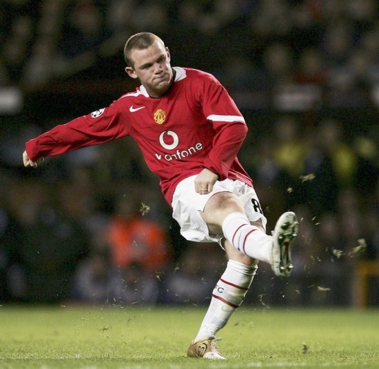 共同绽放 共同绽放