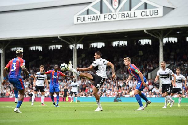 他们在适应 他们在适应